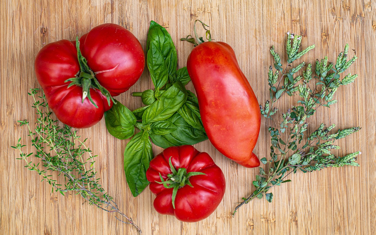 Pomodori e basilico coltivati insieme in un orto, evidenziando la loro interazione benefica.