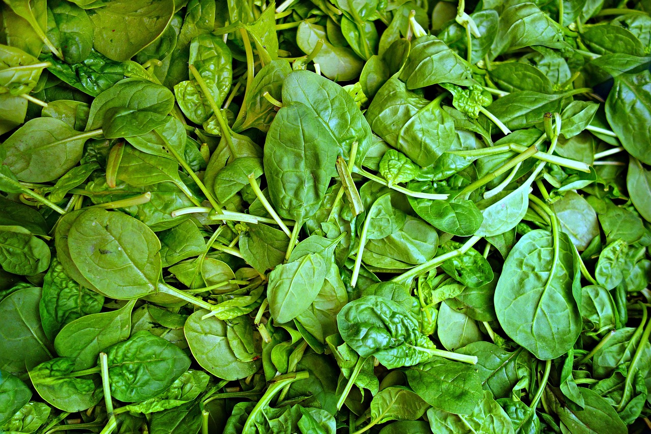 Spinaci con foglie macchiate, evidenziando i segni di malattia o carenze nutrizionali.